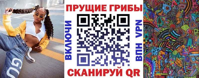 как найти   Завитинск  Галлюциногенные грибы мухоморы 
